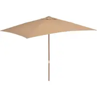 vidaXL Parasol avec mât en bois 200x300 cm Taupe