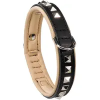 Blokker Giotto C25/49 Blk Luxor Collar