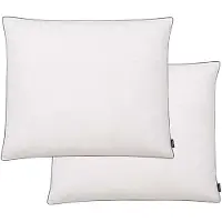 vidaXL Oreiller lot de 2 Remplissage de duvet 70 x 60 cm Blanc