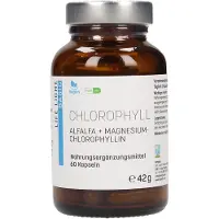 Life Light Basic gélules de chlorophylle, 60 gélules