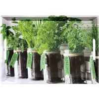 Decopatent 5x , Plateau, Plateau de service 'Herbs
