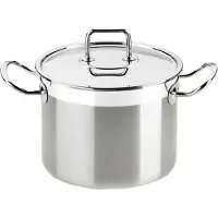 BRA Braisogona Professional Stainless Steel Stew 24 cm