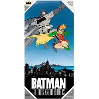 DC Comics Batman Robin Poster Multicolore