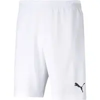 Puma Short teamRISE Hommes