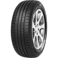 Minerva Kustannus Oy Pneus 225/55 R16 99W F209