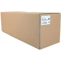 Ricoh Imaging D2960122 Printer Drum Bleu