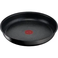 Tefal Poêle L76304 Noir Aluminium Ø 24 cm (1 Unité)