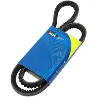 CONTITECH Courroie trapézoïdale à nervures CONTINENTAL AVX13X1125