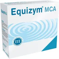 Kyberg Pharma Vertriebs GmbH Equizym MCA comprimés, 300 comprimés