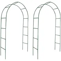 vidaXL Arche de jardin 2 pcs pour plantes grimpantes