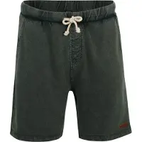 Protest Carver Shorts Vert M Homme
