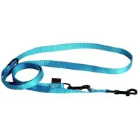 Martin Laisse Pour Chien Classic Nylon 3p 20/200 Cm Mixte Bleu