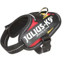JULIUS K-9 Idc Power Baby Dog Harness Rouge Baby 2