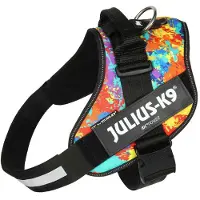 JULIUS K-9 Idc Power Dog Harness Multicolore XL-2