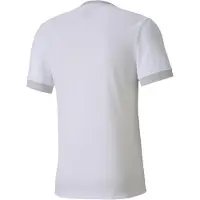 Puma Chemise Teamgoal 23 Jersey 70416004