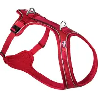Curli Belka Comfort Harnais, Couleur:Rouge, Taille:M