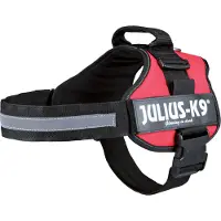Julius-K9 Powergeschirr, taille 0-3 66-85 cm/50 mm rouge