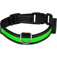 Eyenimal Collier lumineux à LED , vert pour chien, taille L: tour de cou 50-65 cm, l25mm