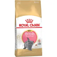 Royal Canin Croquettes pour Chaton - - British Shorthair - 2Kg - Aliment complet - Junior