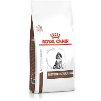 Royal Canin Gastro Intestinal Junior 10kg Dog Food Multicolore 10kg