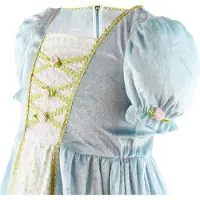 Den Goda Fen Princess Costume Bleu 6-8 Years Enfants