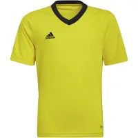 Adidas T-shirt Adidas Entrada 22 K12790