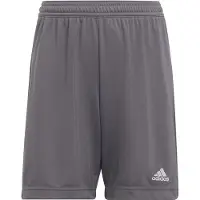 Adidas Pantalon de sport 'Entrada 22' gris foncé / blanc