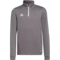 Adidas Entrada 22 Training Sweatshirt Gris 11-12 Years Enfants