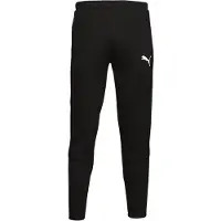 Puma Jogging EVOSTRIPE CORE FZ PANT hommes - Noir - US XL