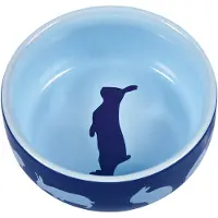Trixie Écuelle (250mL) Trixie en céramique pour rongeur et lapin - 11 cm de diamètre