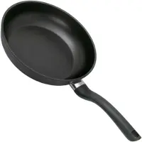 Fissler Cenit Induction Pan Cast Aluminum Skillet 24 Cm Argenté
