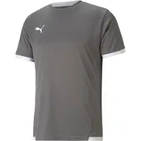 Puma Teamliga Maillot Hommes Manches Courtes - Gris / Blanc