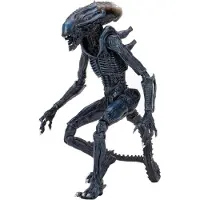 NECA Aliens Movie Deco Serie Actionfigur : Alien Arachnoïde
