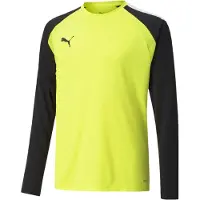 Puma Sweats Teampacer Gk B23743
