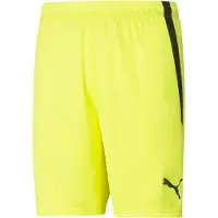 Puma Short Teamliga