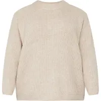 ONLY Carmakoma Pull-over pierre