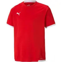 Puma T-Shirt fonctionnel 'TeamLiga' rouge / blanc