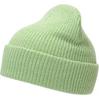 Roxy Island Fox Beanie Vert