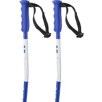 Salomon S/race Sg Junior Poles Bleu 95 cm Enfants