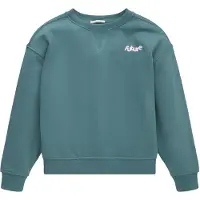 Tom Tailor 1033144 Sweatshirt Vert 164 cm Fille