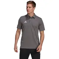Adidas T-Shirt fonctionnel 'Entrada 22' gris foncé / blanc