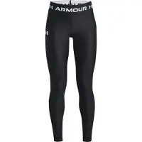 Under Armour Pantalon de sport 'HeatGear'