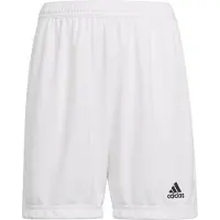 Adidas Pantalon de sport 'Entrada 22' noir / blanc