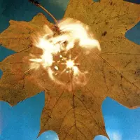 Kartel Creative Soyuz (??Io3) - Force Of The Wind [Compact Discs]