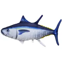 Gaby Coussin The Atlantic Bluefin Tuna Medium