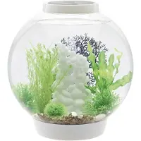 Oase 72007 Acquario biOrb CLASSIC 30 LED blanc 30 l con illuminazione a