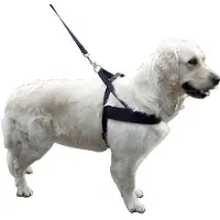 Kerbl Harnais pour chien Miami Plus (100, 80, 85, 90, 95, Chien, Général)