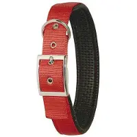 Kerbl Collier Miami Plus (Chien, Général)