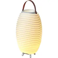 Adlibris Enceinte sans Fil avec LED et Seau à Glace, Kooduu - Synergy 50
