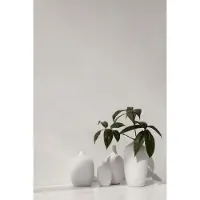 Blomus Vase Blomus Ceola White 18 cm